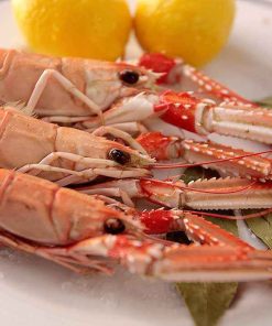 Cigalas cocida (13-15 pieza) (Precio Kg)