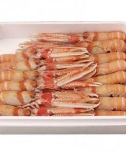 Caja Cigala congelada (13-15 piez) de 1,5kg