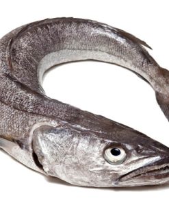 De pincho - Pescadilla  (de 1,5Kg a 2Kg) (precio Kg)